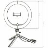 Lampa LED SELFIE średnica 26cm niska 327604 Sanico Goldlux